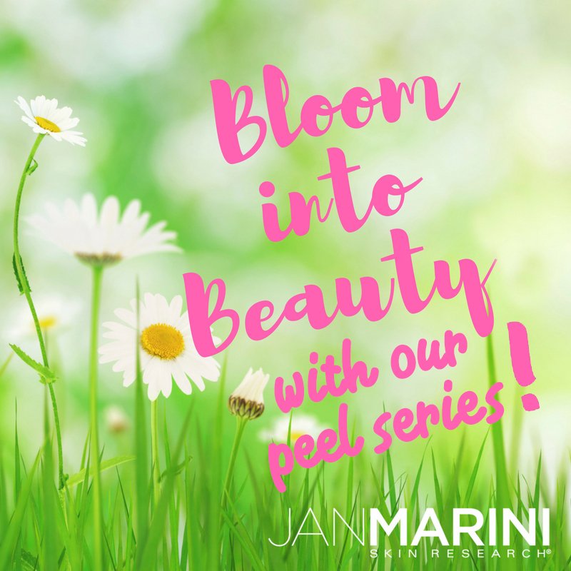 2017_bloom into beauty